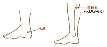 tubo-1.gif